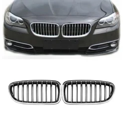 BMW 5-Serie F10 F11 Dubbel Njurar Krom