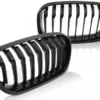 BMW F20 Grill Njurar Singelribb Blank LCI 15-