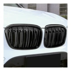 BMW X1 F48 Grill Njurar Dubbel LCI 2019+
