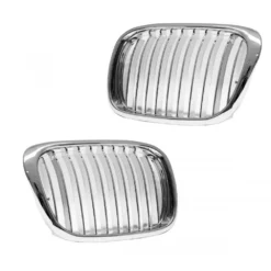 BMW E39 Grill Njurar Singelribb krom